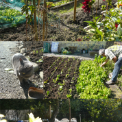 Jardins partagés