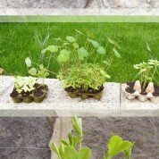 DIY : godets récup pour semis, un jardin gratuit !