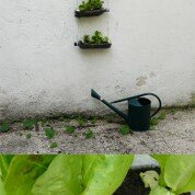 DIY : créer son potager suspendu