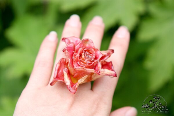 bague-rose-sur-main