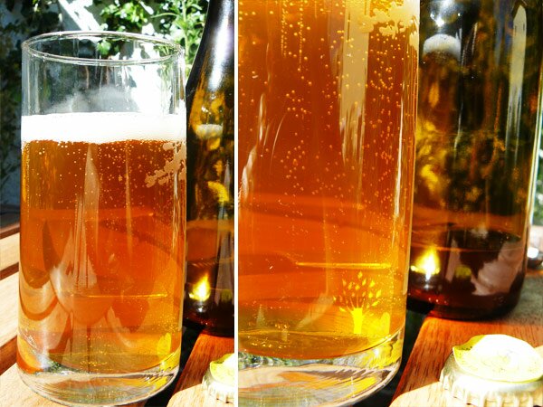 DIY-Brasser-sa-propre-bière-2