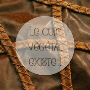 Le cuir végétal existe !