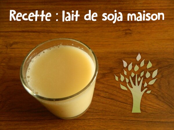 Recette lait de soja maison