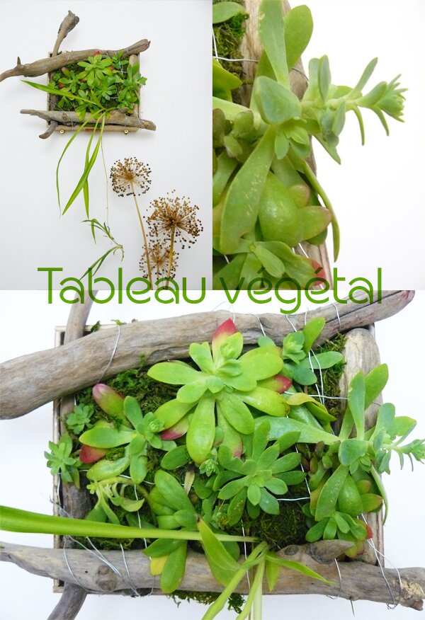 DIY tableau végétal