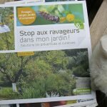 stop-au-ravageur-dans-mon-jardin